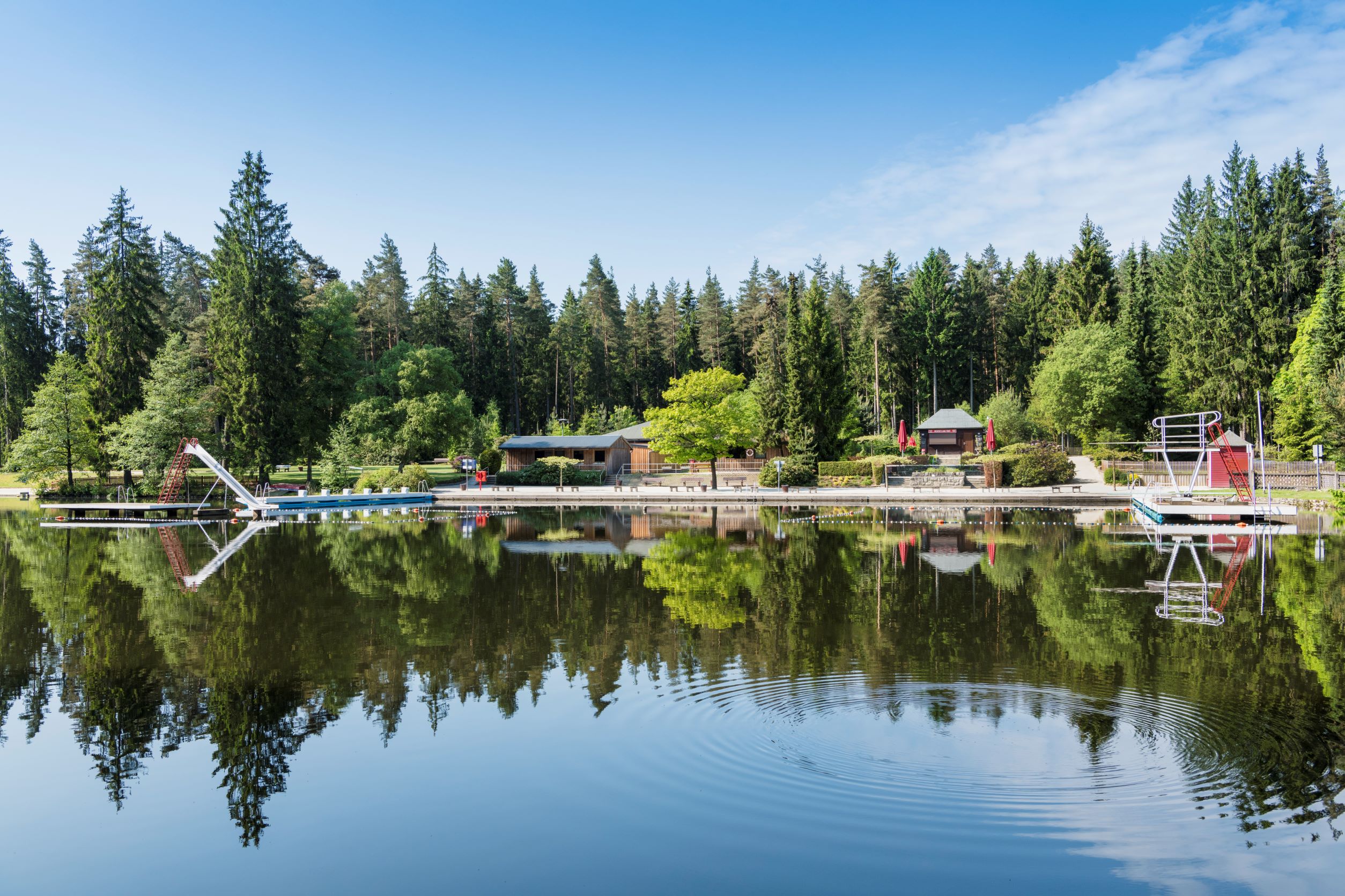 Ansicht Waldbad, große Wasserfläche mit Bäumen im Hintergrund.